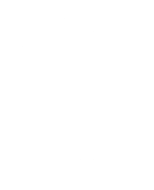 Boogie & The Yo-Yo'z logo (white)